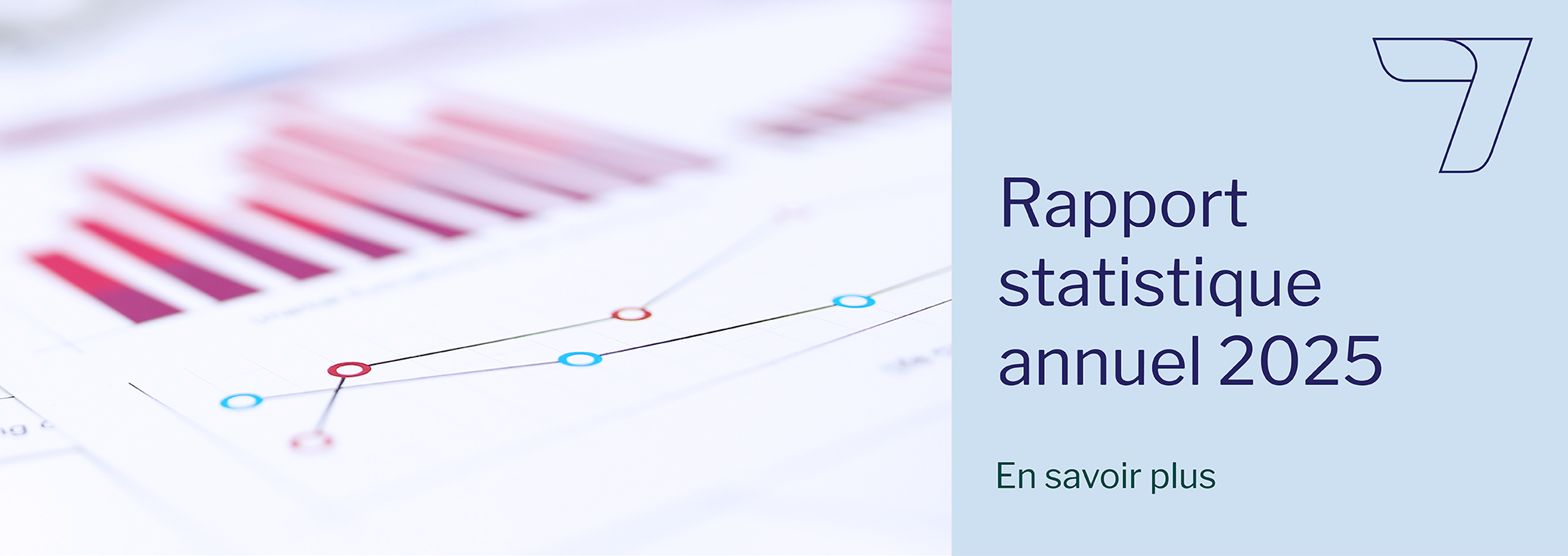 Rapport statistique annuel 2025